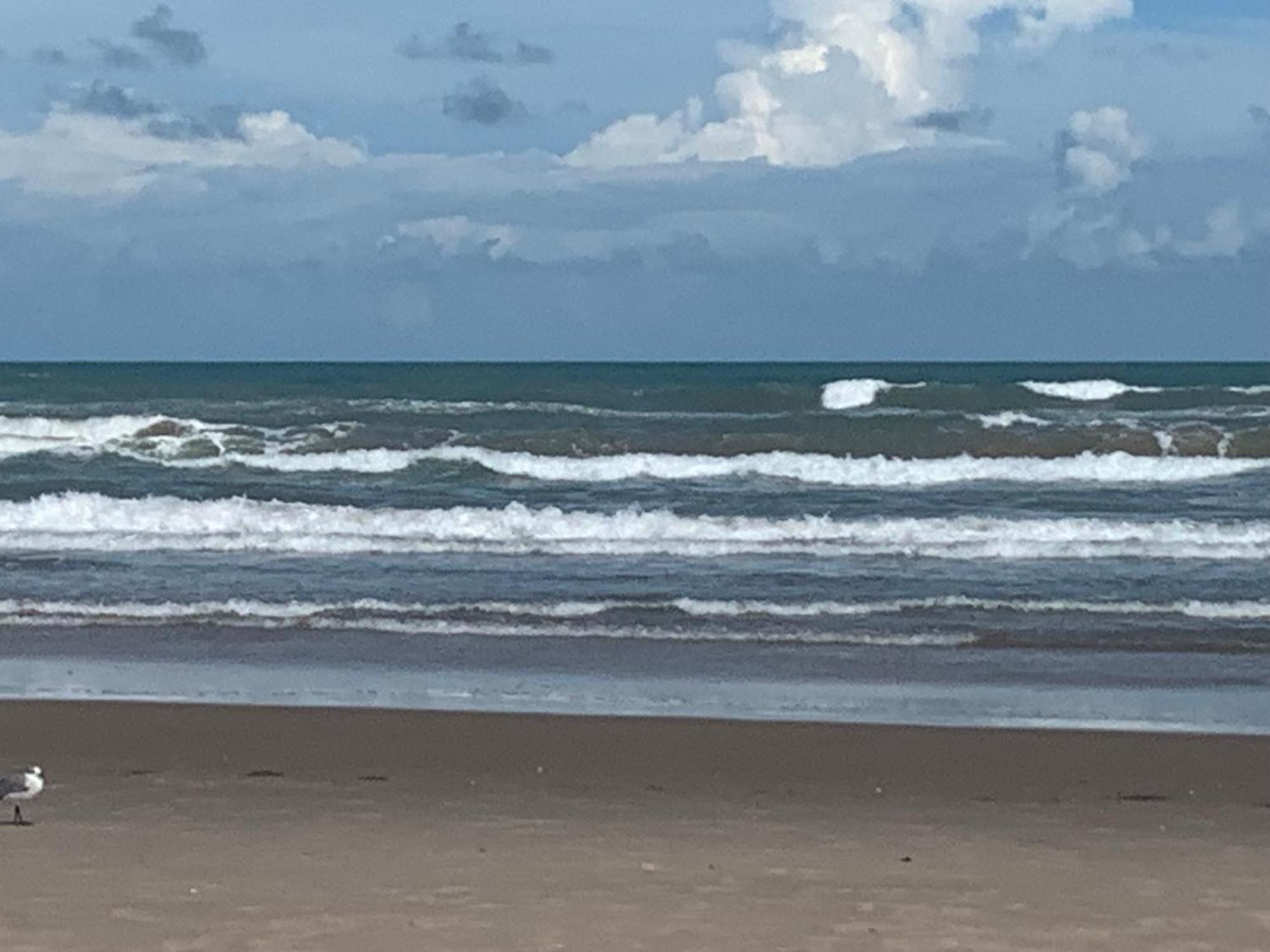 Jjs Beach Condo South Padre Island Ngoại thất bức ảnh